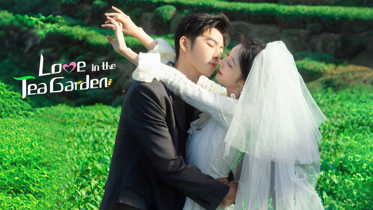 ดูหนังออนไลน์ Love in the Tea Garden (2024) รักเกิดในสวนชา